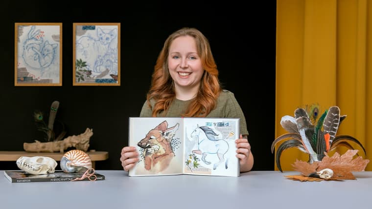 Ilustración de animales: dibuja la vida salvaje en tu sketchbook