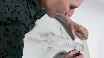 Crie um infográfico que fará história. Um curso de Design e Ilustração de Fernando Gomez Baptista