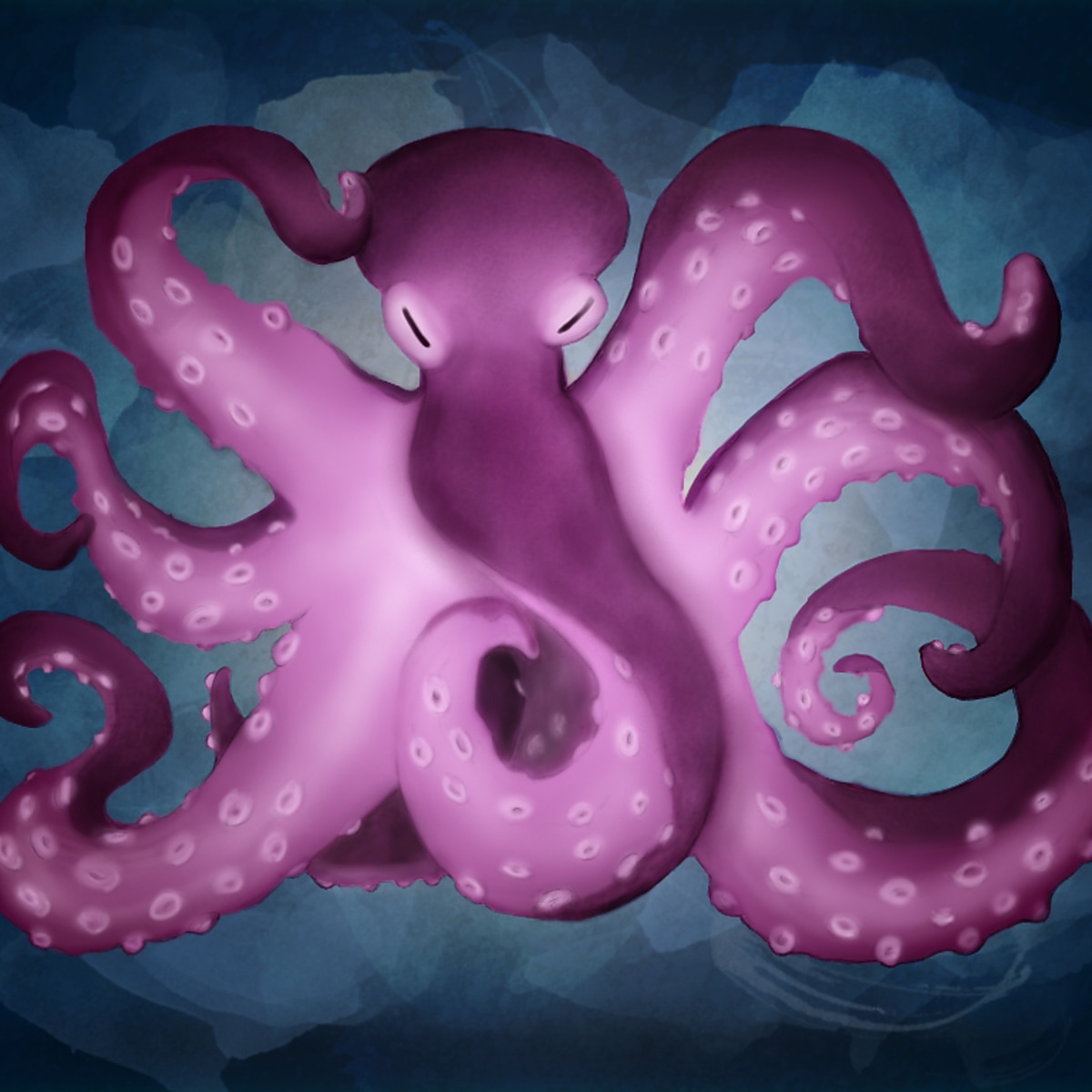 Curso octopus