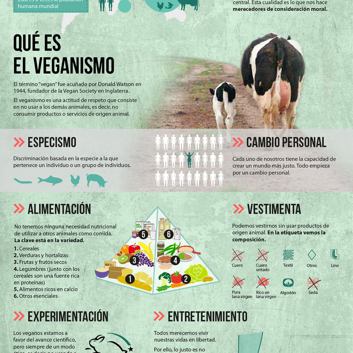 Qué Es El Veganismo Veganwhat Domestika 5158