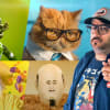 Creative Direction of an Advertising Spot. A Photograph, , Video, 3D, and Animation course by Javier Lourenço