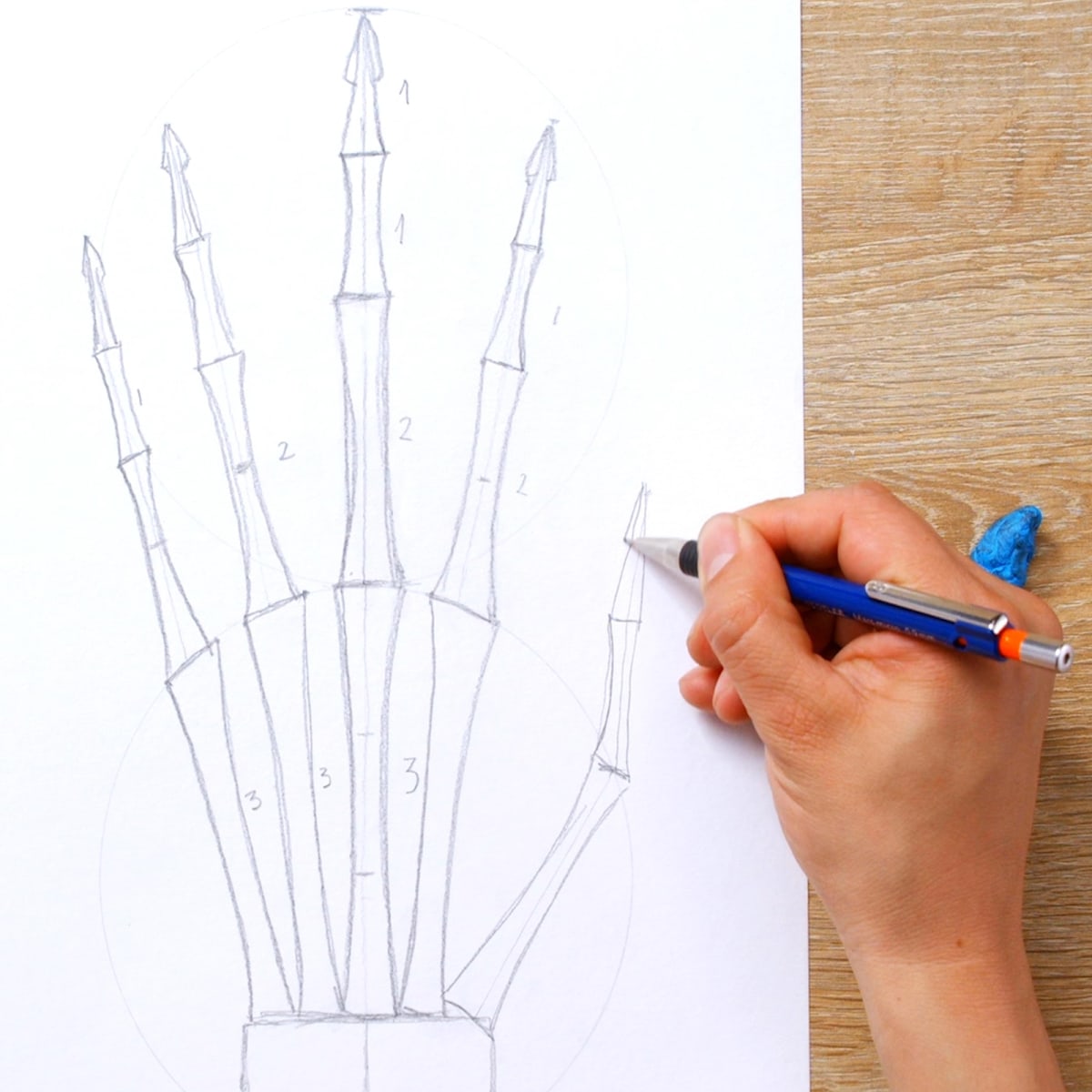 Tutorial Dibujo anatómico: cómo dibujar una mano | Domestika