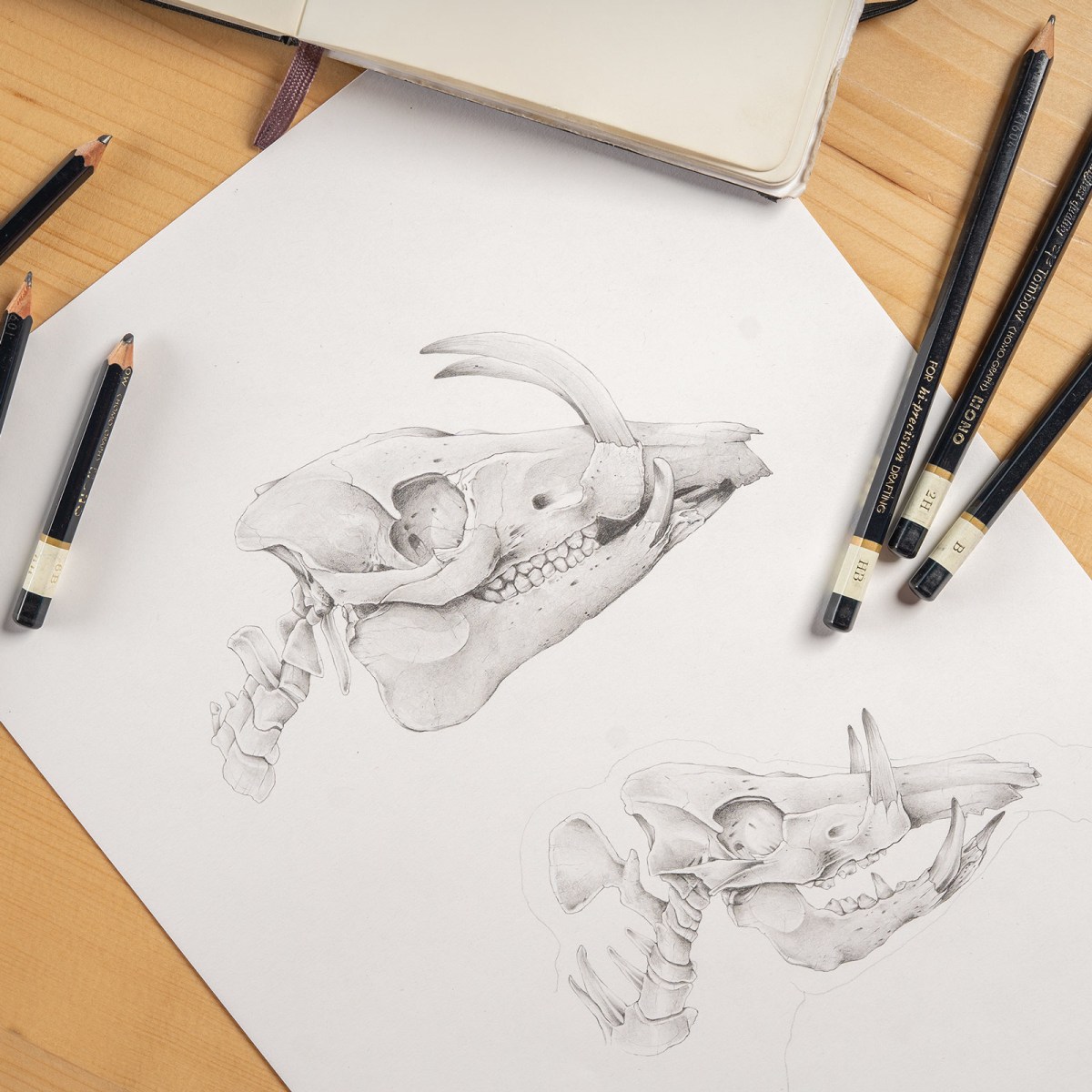 How to Preserve Pencil Drawings and Illustrations | Domestika