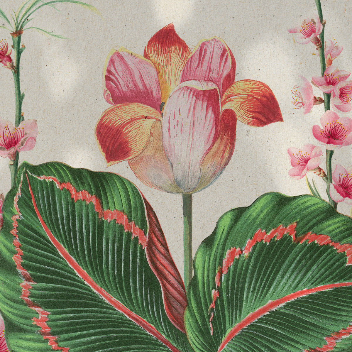 The History of Botanical Illustration | Domestika