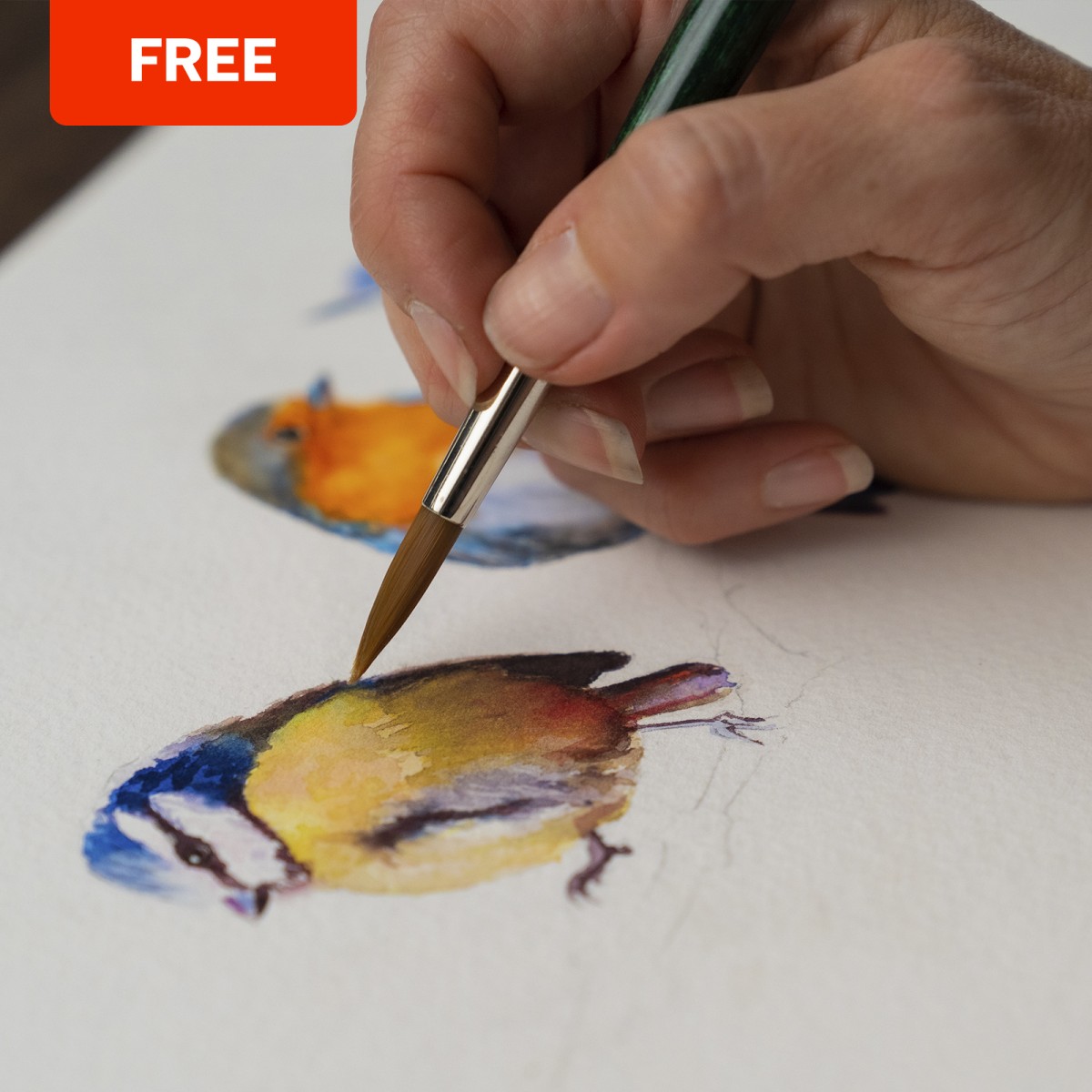 10 Free Online Watercolor Classes For Improving Your Technique | Domestika