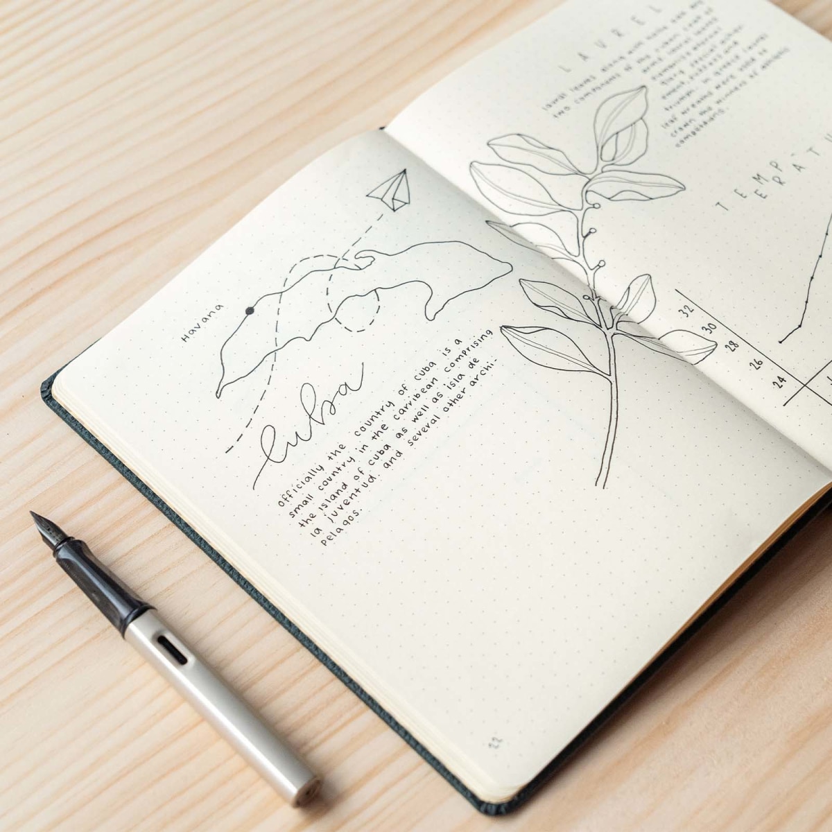 What is a Bullet Journal - Best Bullet Journal Notebooks and