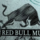 Red Bull Music Academy. Design, Advertising, Motion Graphics, Film, Video, and TV project by Oskar Domínguez - 08.24.2009