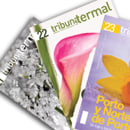 TRIBUNA TERMAL (magazine). Design e Informática projeto de Eduardo Barga - 22.01.2013