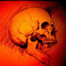 Skull. Ilustração tradicional projeto de Luis Miguel Falcón - 15.09.2013