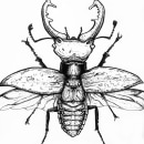 Beetle. Ilustração tradicional projeto de Ana Marín - 28.11.2013