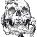 Skull. Ilustração tradicional, e Artes plásticas projeto de Ana Marín - 18.12.2013