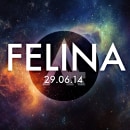 Promo Alfenic - Felina. Design, Music, Br, ing, Identit, Graphic Design, Photograph, Post-production, T, and pograph project by Guillem Martín Murillo - 06.19.2014