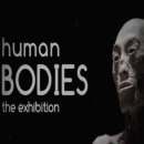 Human Bodies Ein Projekt aus dem Bereich Kino, Video und TV von Pixelecto - 14.08.2014