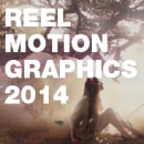 Reel Motion Graphics 2014. Advertising, Motion Graphics, 3D, Animation, and Multimedia project by Federico Soria - 11.18.2014
