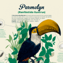 Currículum infográfico . Een project van Traditionele illustratie y Grafisch ontwerp van Sandra Martínez - 16.04.2015