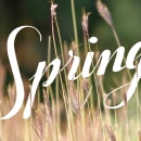 Spring. Un proyecto de Caligrafía e Ilustración de marta B. - 22.03.2014
