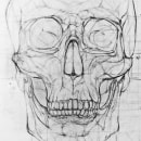 Anatomy - Human Skeleton. Traditional illustration project by Ramon Velasquez - 09.29.2015