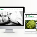 Albaero, web for a complementary therapist. Art Direction, Br, ing, Identit, Web Design, and Web Development project by Nuño Conde - 05.11.2014