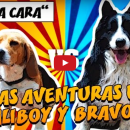 "Las Aventuras de Scaliboy y Bravocan". Un proyecto de Animación, Post-producción fotográfica		 y VFX de Pep T. Cerdá Ferrández - 21.06.2016