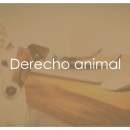 Jornadas de Derecho Animal Ein Projekt aus dem Bereich Grafikdesign von Conchi Fernández Regal - 26.09.2016