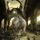  Proyecto Final Secretos del fotomontaje y el retoque creativo Ruined Rhino. Design projeto de Julio López Vela - 08.10.2016