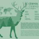 Ejemplo Plafó EL CÉRVOL. Un proyecto de Diseño de hectormolinerovives - 30.11.2016