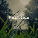 Wellblein Website. Projekt z dziedziny UX / UI, Projektowanie interakt, wne, Web design, Tworzenie stron internetow i ch użytkownika NO — CODE - 16.01.2017