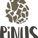 Pinus. Turismo rural ecológico. Br, ing & Identit project by Elena Gil - 02.01.2017