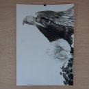 Eagle. Ilustração tradicional, e Artes plásticas projeto de Jota Blanco - 28.09.2015