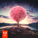 Adobe Photoshop CC 2015 Splash. Ilustração tradicional, e Fotografia projeto de Rubén Álvarez González - 30.11.2015