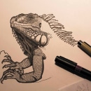 Iguana iguana. Ilustração tradicional, e Artes plásticas projeto de Arturo Blasco - 08.05.2017