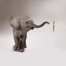 Elefante adolescente. Um projeto de Publicidade, 3D e Animação de personagens de Rafa Zabala - 29.06.2017