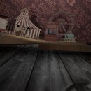 POP-UP BOOK Circus (After Effects 3D book). Un proyecto de Motion Graphics, 3D, Multimedia y VFX de Ane Garcia de la Fuente - 17.08.2017