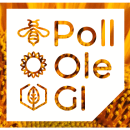POLL OLE GI diseño de imagen gráfica y producto. Graphic Design, and Product Design project by Merce jara muns - 09.11.2017
