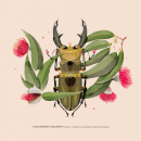 Coleoptera. Traditional illustration project by Natalia Escaño - 09.17.2017