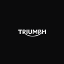 Triumph Motorcycles. Advertising, UX / UI, Art Direction, Marketing, Web Design, Web Development, Cop, and writing project by Daniel Miralles - 06.23.2017