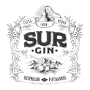 SUR GIN. Design, Traditional illustration, Packaging, and Lettering project by Diego Giaccone - 01.24.2018