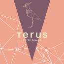 Terus - Coffe Palace. Br, ing, Identit, Graphic Design, and Product Design project by Nelson Perez - 01.25.2018