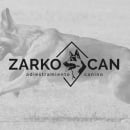 Zarkocan. Br, ing, Identit, and Graphic Design project by Iria Rodríguez - 05.08.2017