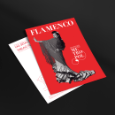 Tablao Flamenco Metropol. Design project by David Guillén Domínguez - 04.25.2018
