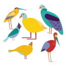 BIRDS. Un proyecto de Ilustración tradicional, Dibujo e Ilustración digital de Karolayne Pez - 30.05.2018