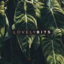 Lovely Bits. Art Direction, Br, ing, Identit, Creative Consulting, and Graphic Design project by Teresa Baena - 06.11.2018