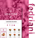 Diseño web Lola Flor Fedriani "Concept Home Page". Design gráfico, e Web Design projeto de frangranados - 17.03.2018