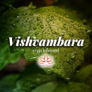 Mi Proyecto: Vishvambara Yoga en RRSS. Digital Marketing project by Ignacio Viera - 08.23.2018