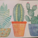 Cactus!!. Watercolor Painting project by Mariano Perez - 10.28.2018