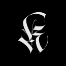 Logo Collection. Br, ing e Identidade, Caligrafia, Lettering, Ilustração vetorial, e Design de logotipo projeto de Victor Kams - 08.11.2018