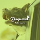 Yuquerí hotel canino (isologo). Design projeto de Alvaro Cardozo - 19.11.2018