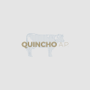 Quincho Alta Parrillería. Br, ing, Identit, Graphic Design, T, and pograph project by Dann Torres - 07.09.2017