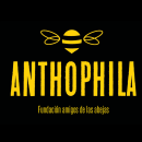 Branding // Anthophila // Fundación amigos de las abejas. Design, Photograph, Icon Design, Creativit, Logo Design, Artistic Drawing, and Bookbinding project by Plankton - 02.03.2019