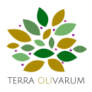 Terra Olivarum: Aceite de Oliva Virgen Extra . Web Design project by erika_ergueta - 02.04.2019